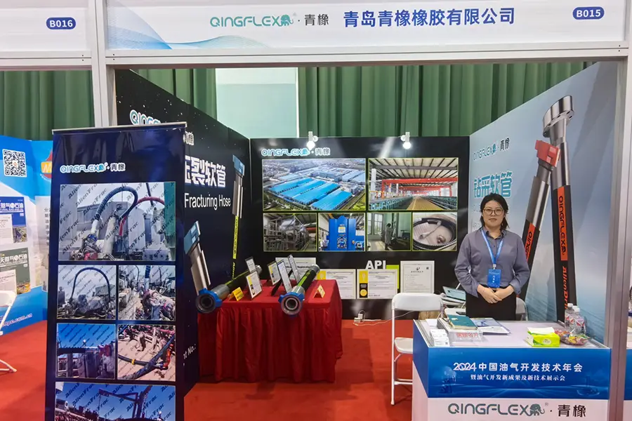 China Oil and Gas Development Technology Annual Conference